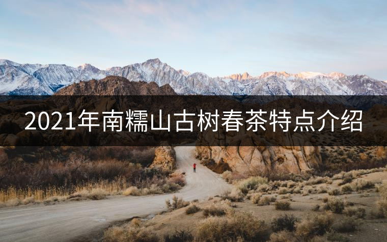 2021年南糯山古樹春茶特點(diǎn)介紹 2021年南糯山古樹春茶特點(diǎn)介紹