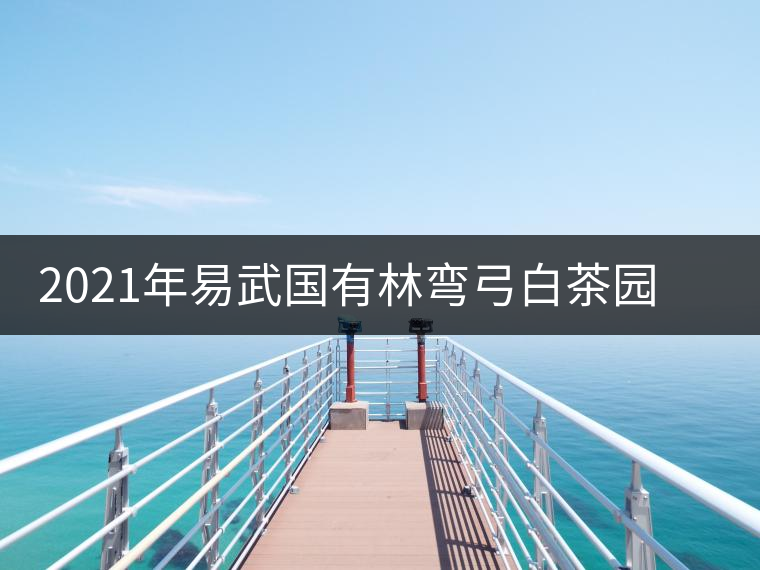 2021年易武國(guó)有林彎弓白茶園古樹(shù)春茶口感特點(diǎn)