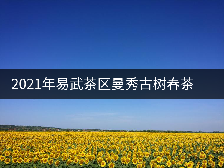 2021年易武茶區(qū)曼秀古樹(shù)春茶多少錢一公斤 2021年易武茶區(qū)曼秀古樹(shù)春茶多少錢一公斤