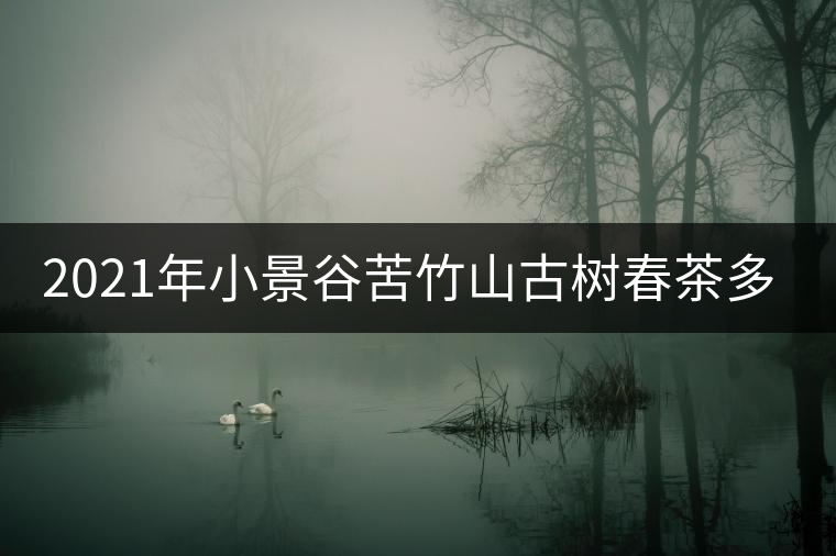 2021年小景谷苦竹山古樹(shù)春茶多少錢一公斤? 2021年小景谷苦竹山古樹(shù)春茶多少錢一公斤?