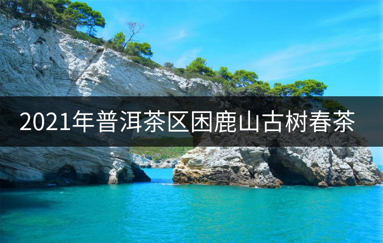 2021年普洱茶區(qū)困鹿山古樹春茶價(jià)格 2021年普洱茶區(qū)困鹿山古樹春茶價(jià)格
