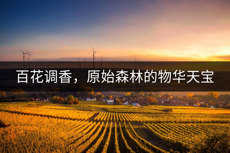百花調(diào)香,原始森林的物華天寶 百花調(diào)香,原始森林的物華天寶