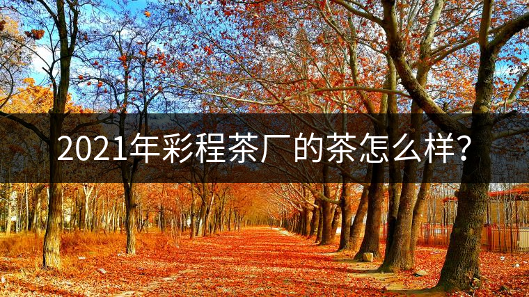 2021年彩程茶廠的茶怎么樣？