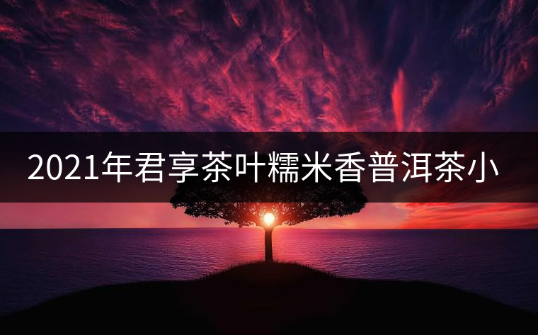 2021年君享茶葉糯米香普洱茶小沱茶餅口感好嗎？