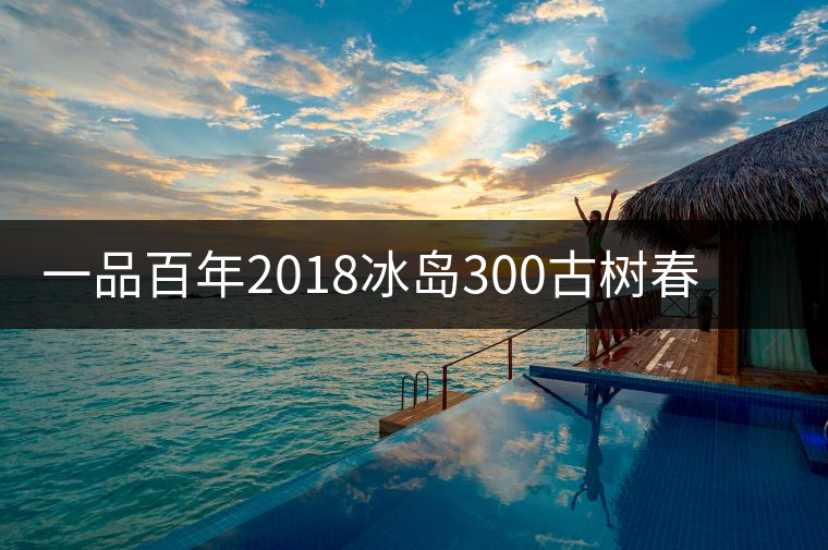 一品百年2018冰島300古樹(shù)春茶口感怎么樣好不好喝？