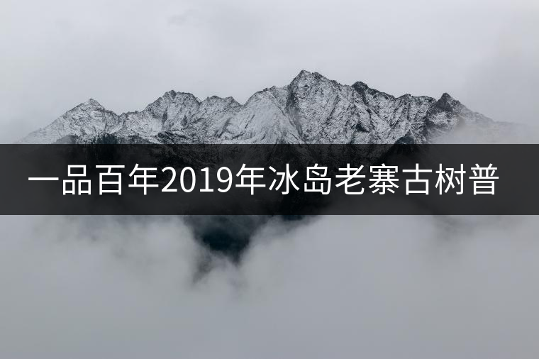 一品百年2019年冰島老寨古樹普洱茶生茶好喝嗎？