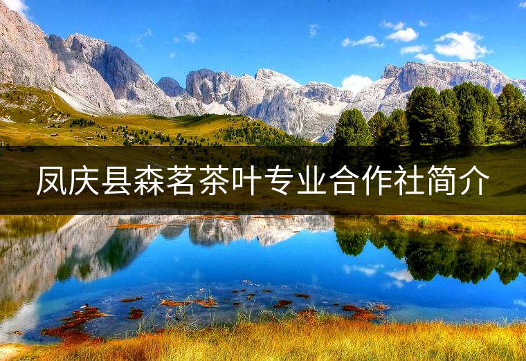 鳳慶縣森茗茶葉專業(yè)合作社簡(jiǎn)介 鳳慶縣森茗茶葉專業(yè)合作社簡(jiǎn)介