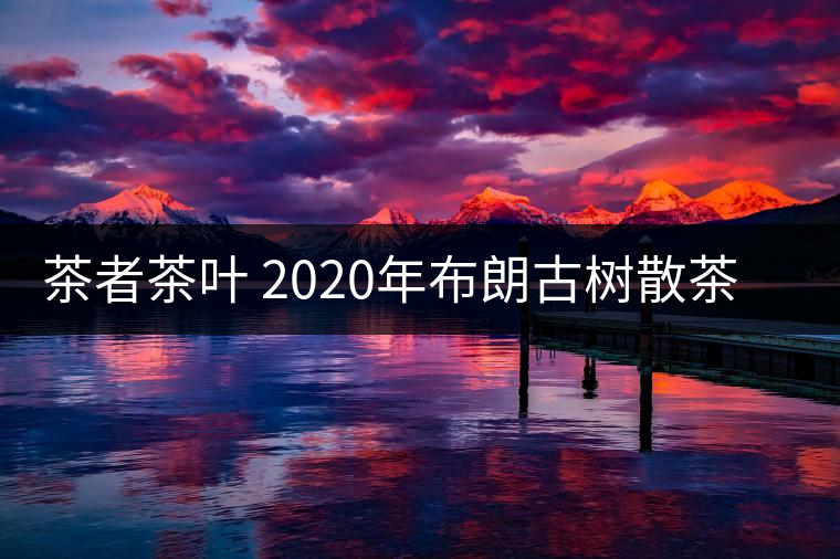 茶者茶葉 2020年布朗古樹(shù)散茶  性價(jià)比怎么樣？