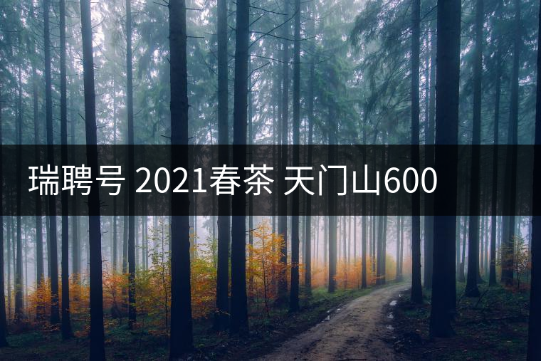 瑞聘號 2021春茶 天門山600 頭春古樹口感怎么樣？
