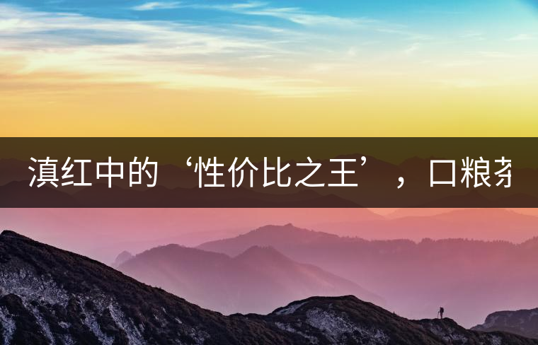 滇紅中的‘性價比之王’，口糧茶首選！