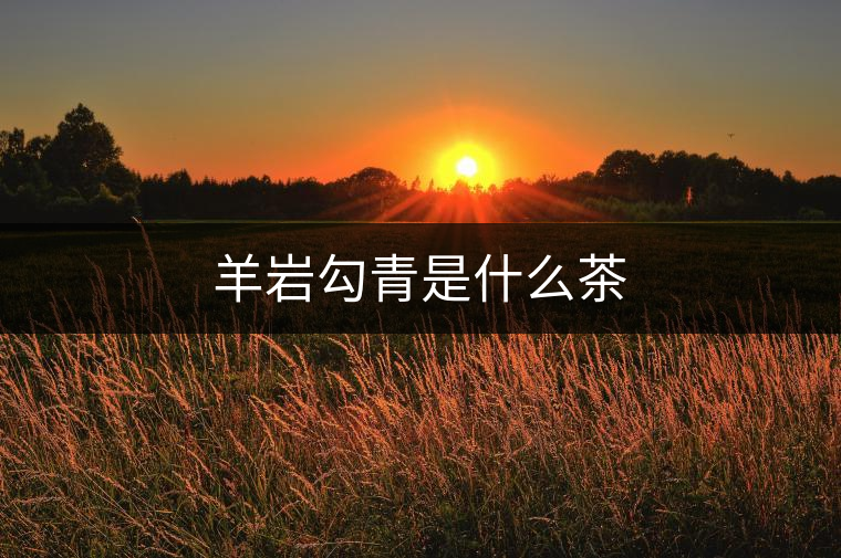 羊巖勾青是什么茶 羊巖勾青是什么茶