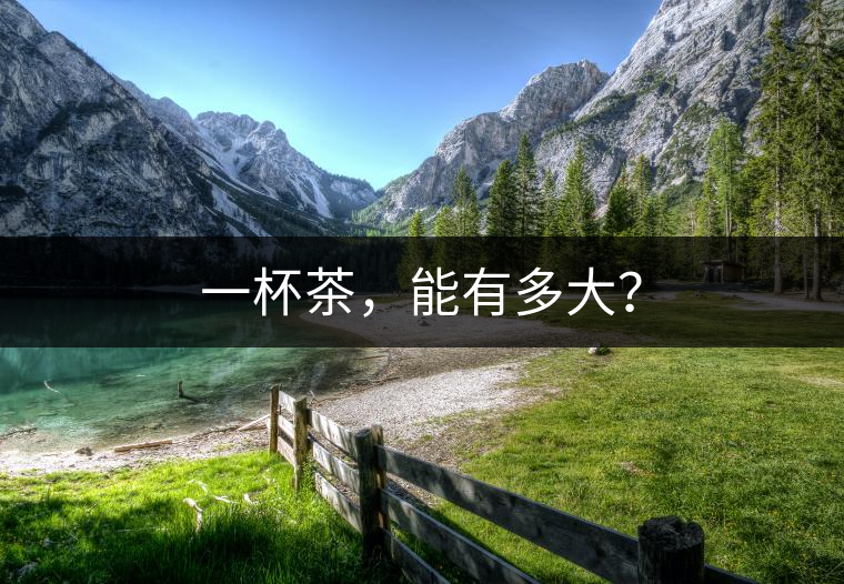 一杯茶，能有多大？