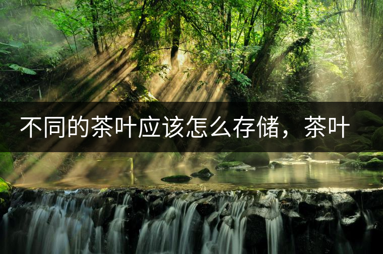 不同的茶葉應(yīng)該怎么存儲(chǔ)，茶葉罐又該如何選擇？