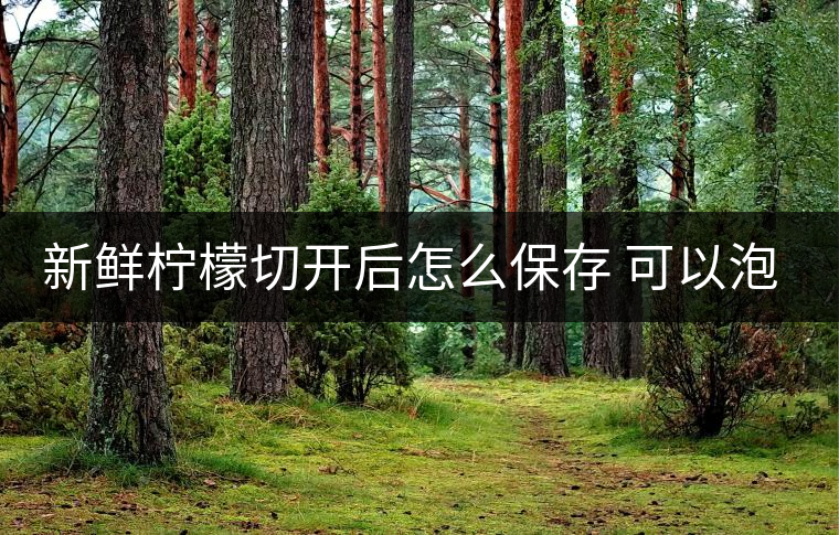 新鮮檸檬切開(kāi)后怎么保存 可以泡幾次