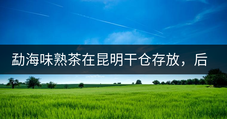 勐海味熟茶在昆明干倉存放，后期轉(zhuǎn)化如何呢？