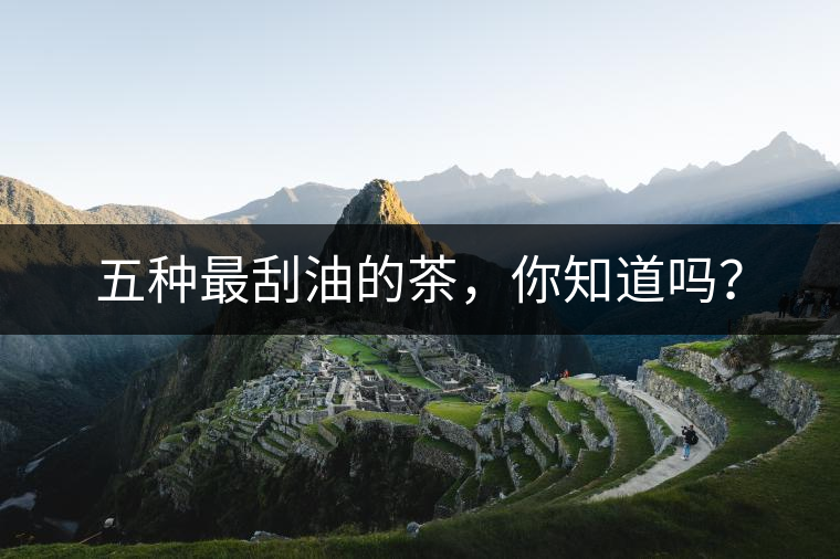 五種最刮油的茶，你知道嗎？