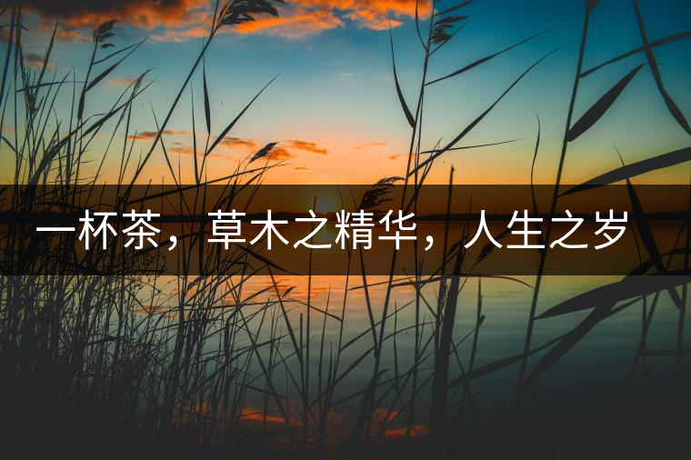 一杯茶，草木之精華，人生之歲月
