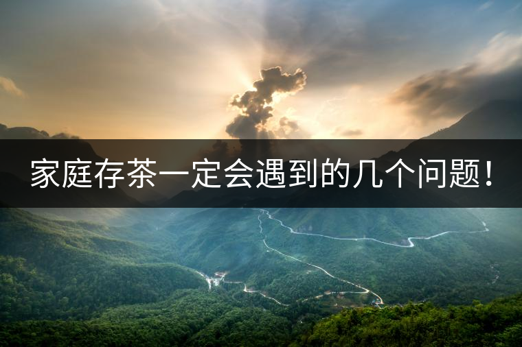 家庭存茶一定會(huì)遇到的幾個(gè)問題！