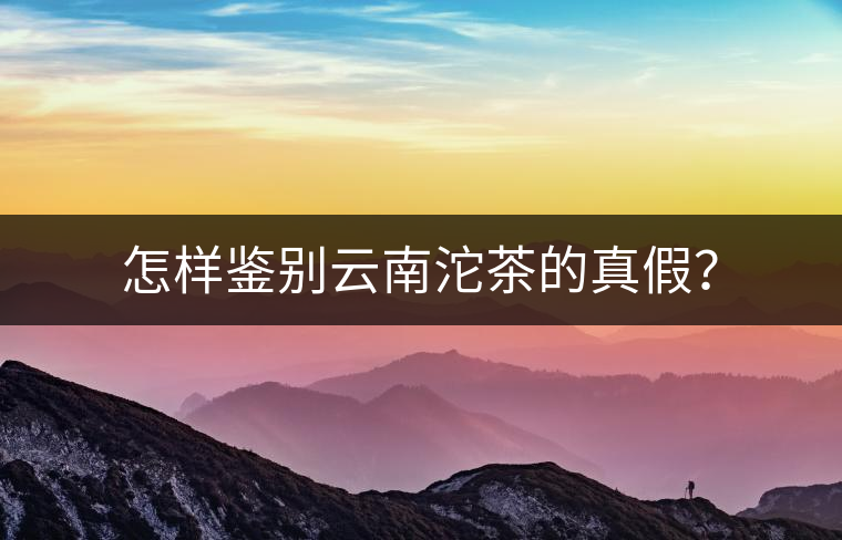 怎樣鑒別云南沱茶的真假？