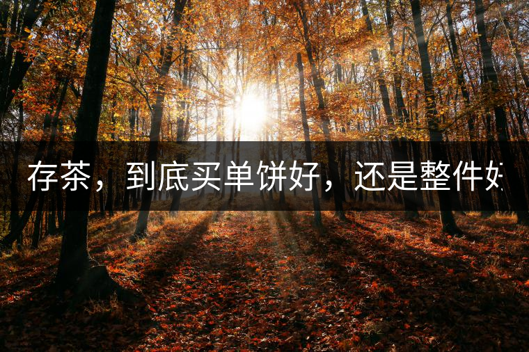 存茶，到底買(mǎi)單餅好，還是整件好？