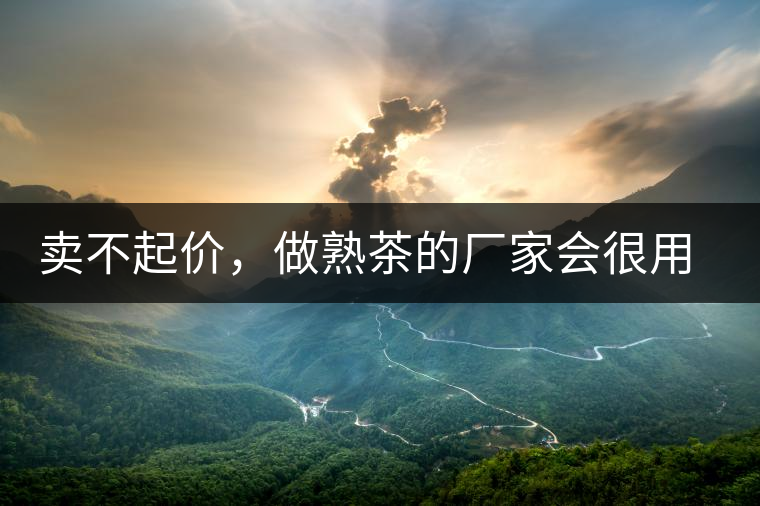 賣不起價(jià)，做熟茶的廠家會(huì)很用心生產(chǎn)熟茶嗎？