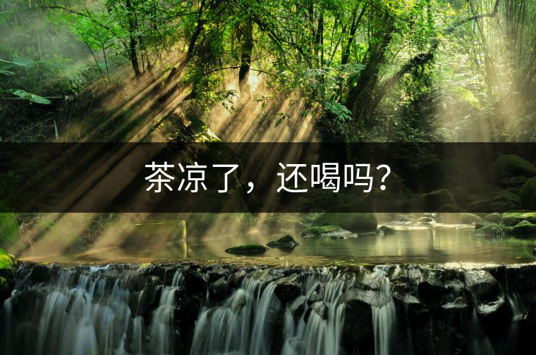 茶涼了，還喝嗎？