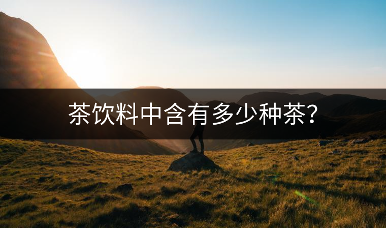 茶飲料中含有多少種茶？