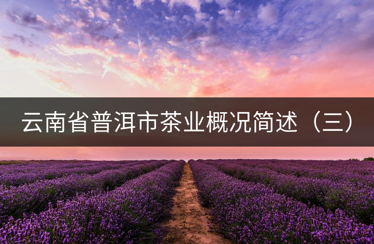 云南省普洱市茶業(yè)概況簡(jiǎn)述(三) 云南省普洱市茶業(yè)概況簡(jiǎn)述(三)