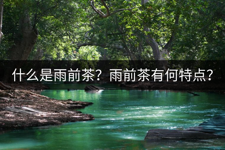 什么是雨前茶？雨前茶有何特點(diǎn)？