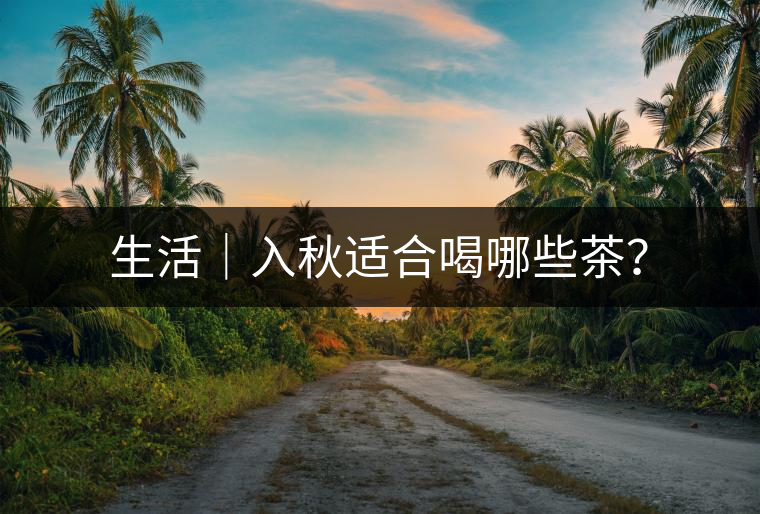 生活｜入秋適合喝哪些茶？