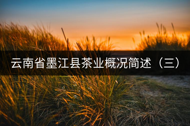 云南省墨江縣茶業(yè)概況簡(jiǎn)述(三) 云南省墨江縣茶業(yè)概況簡(jiǎn)述(三)