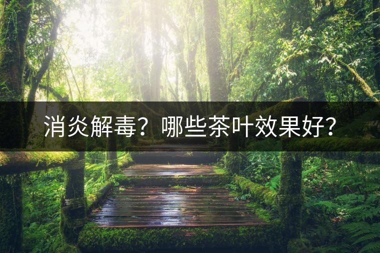 消炎解毒？哪些茶葉效果好？