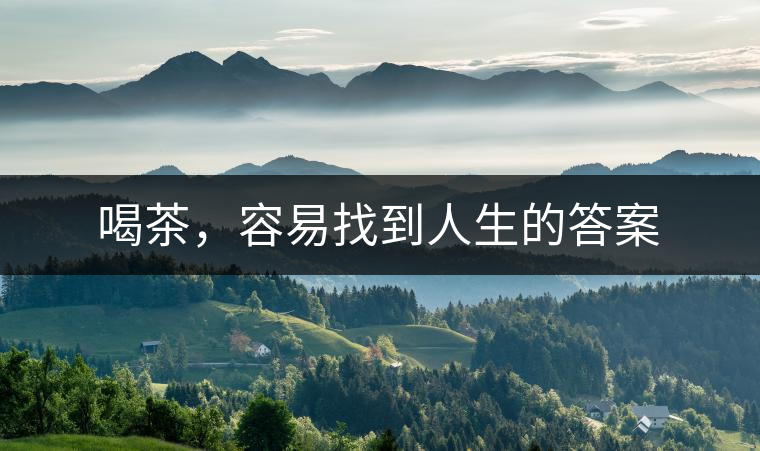 喝茶，容易找到人生的答案