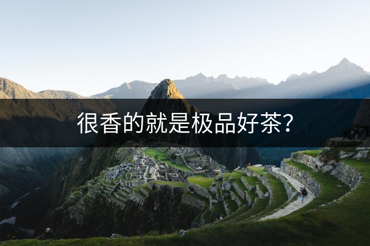 很香的就是極品好茶？