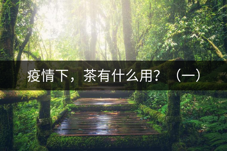 疫情下，茶有什么用？（一）