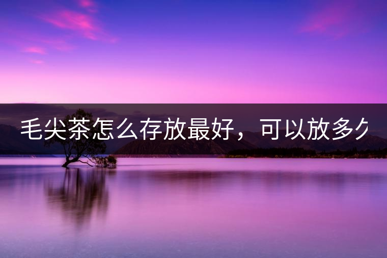 毛尖茶怎么存放最好，可以放多久？
