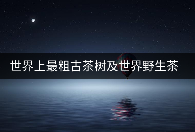 世界上最粗古茶樹(shù)及世界野生茶樹(shù)王介紹 世界上最粗古茶樹(shù)及世界野生茶樹(shù)王介紹