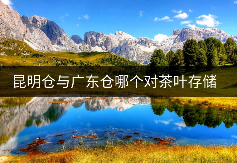 昆明倉(cāng)與廣東倉(cāng)哪個(gè)對(duì)茶葉存儲(chǔ)更具優(yōu)勢(shì)？