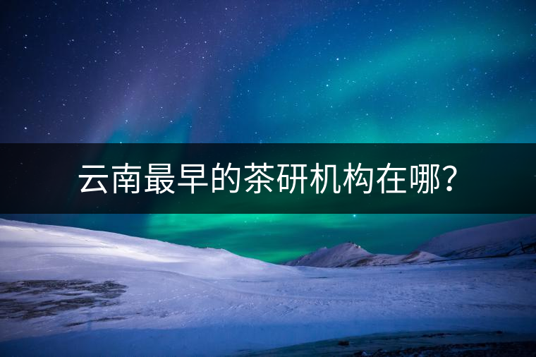 云南最早的茶研機構(gòu)在哪？