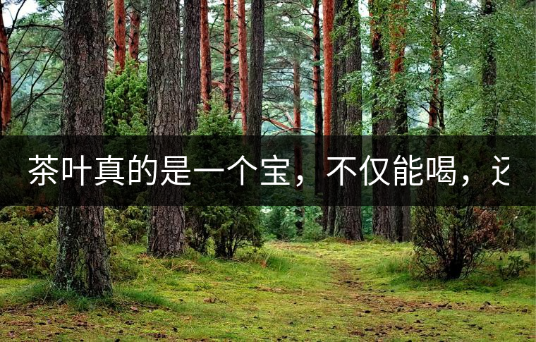 茶葉真的是一個寶，不僅能喝，還能用！