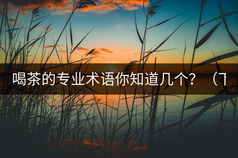 喝茶的專業(yè)術(shù)語你知道幾個？（下篇）