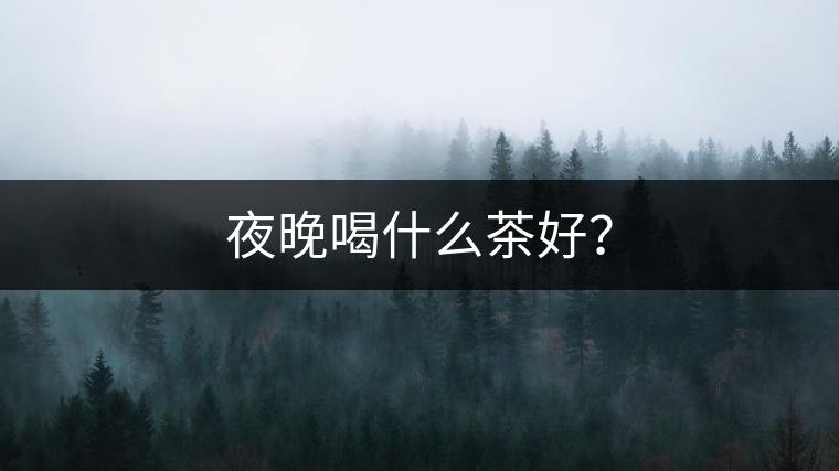 夜晚喝什么茶好？