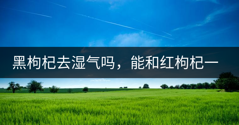 黑枸杞去濕氣嗎，能和紅枸杞一起泡嗎？