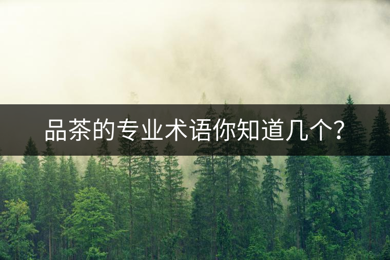品茶的專業(yè)術(shù)語你知道幾個？