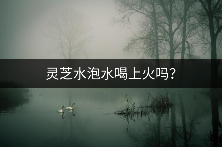 靈芝水泡水喝上火嗎？