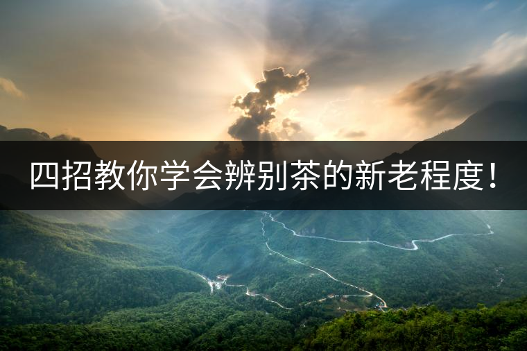 四招教你學(xué)會(huì)辨別茶的新老程度！