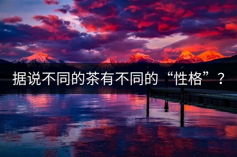 據(jù)說不同的茶有不同的“性格”？