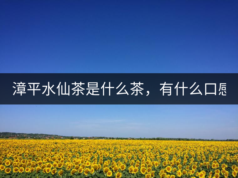 漳平水仙茶是什么茶，有什么口感特點(diǎn)！