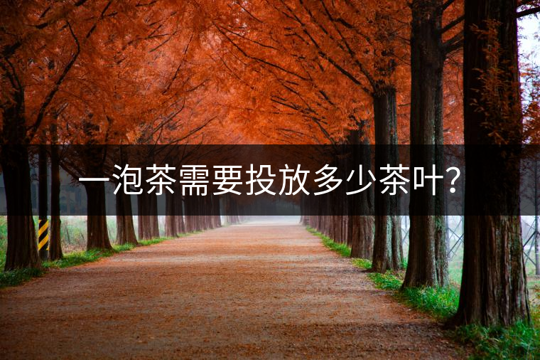 一泡茶需要投放多少茶葉？
