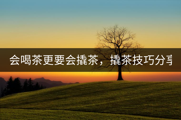 會喝茶更要會撬茶，撬茶技巧分享！